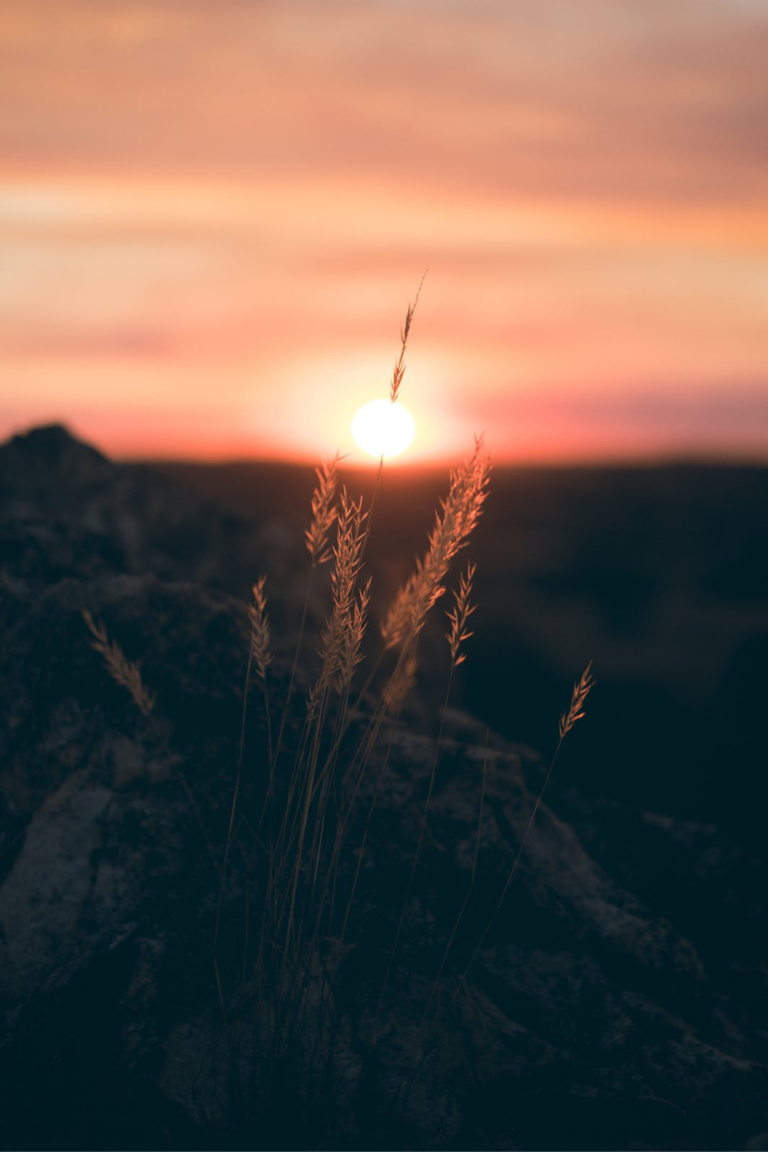 8 Visualization Techniques For Effective Manifestation In 2026